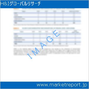 市場と産業調査レポートのイメージ